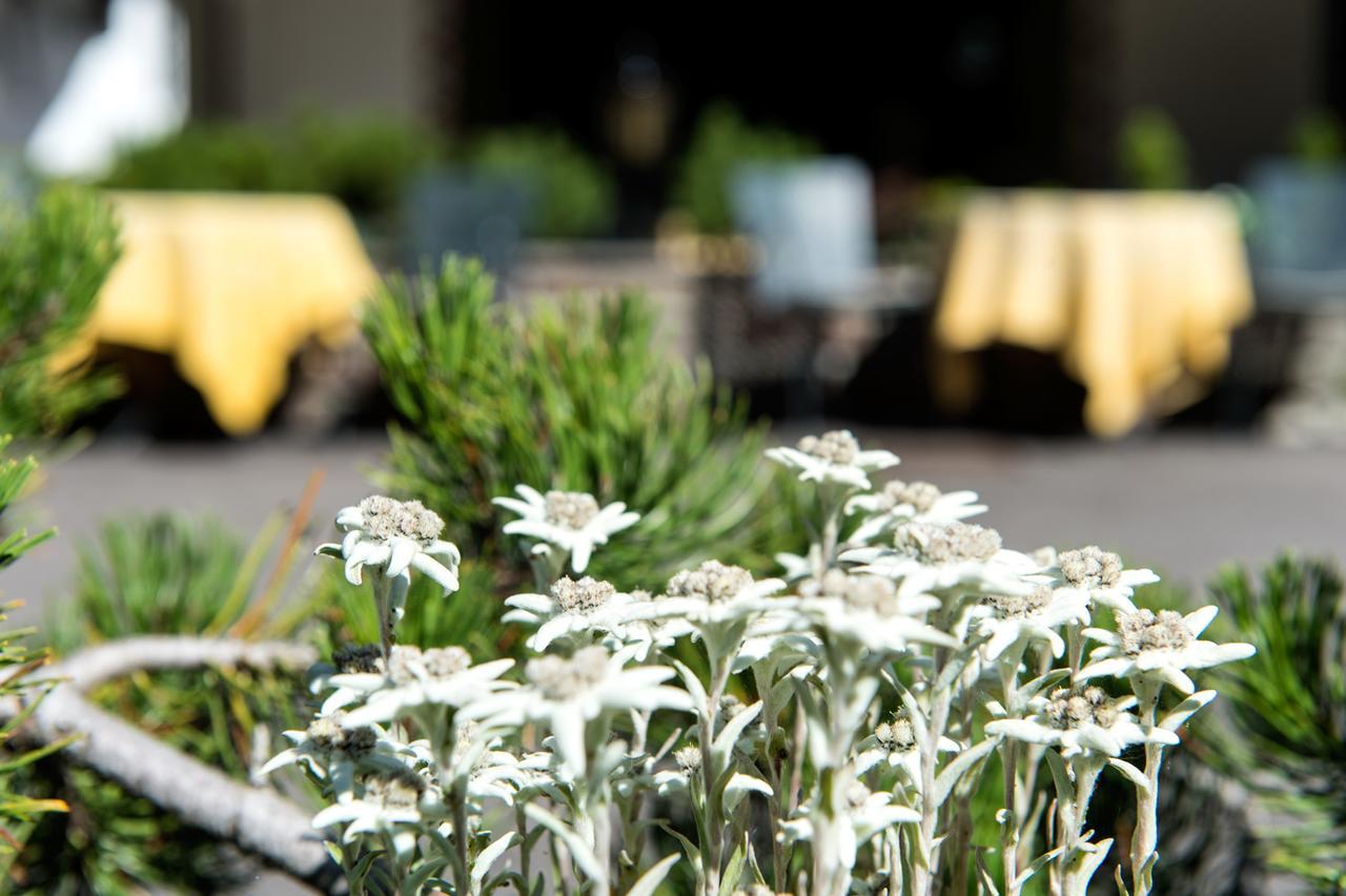 La Truga Hotel Selva di Val Gardena Exterior photo