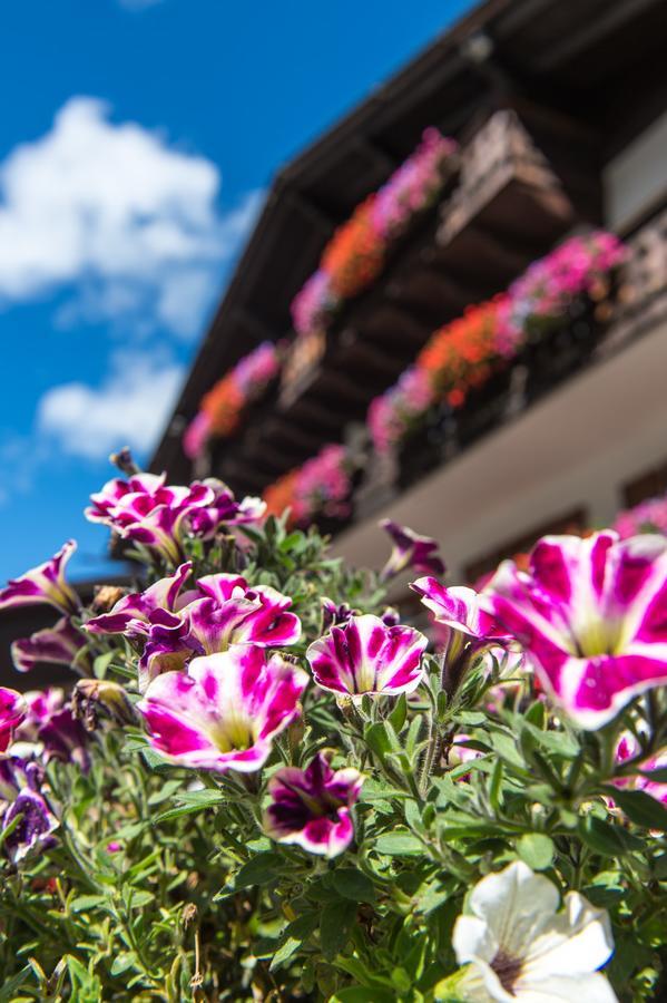 La Truga Hotel Selva di Val Gardena Exterior photo